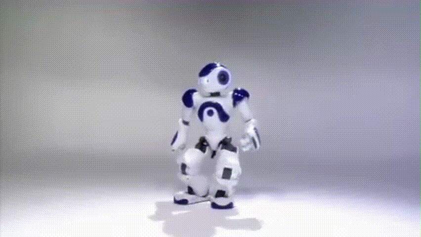 Robot NAO